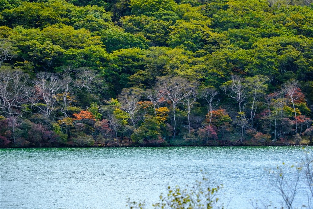 試写 曇天の山の風景』 富士フイルム FUJIFILM X-H2 ボディ のクチコミ