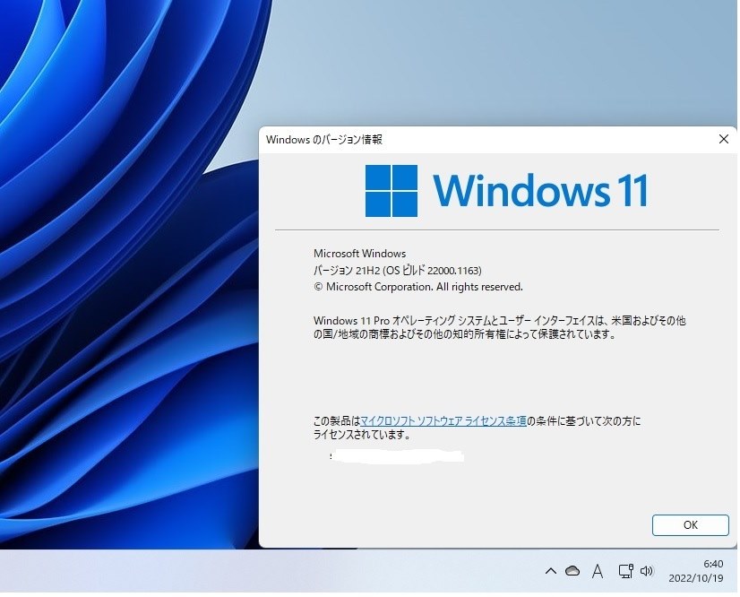 Windows 11 Insider Preview 22000.1163 (Release Preview)』 クチコミ 