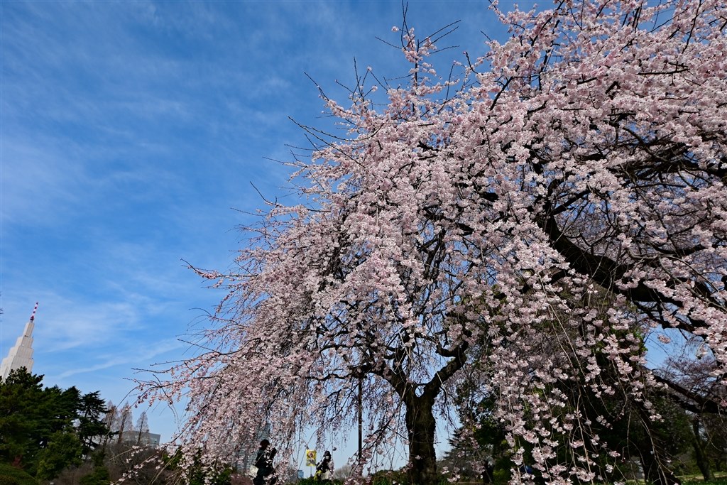 買ってみました』 シグマ 8-16mm F4.5-5.6 DC HSM (ニコン用) の 買ってみました』 シグマ 8-16mm F4.5-5.6 DC HSM (ニコン用) の