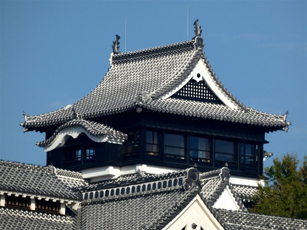 2倍テレコン=1200mmでの動体AF』 富士フイルム フジノンレンズ 2倍テレコン=1200mmでの動体AF』 富士フイルム フジノンレンズ