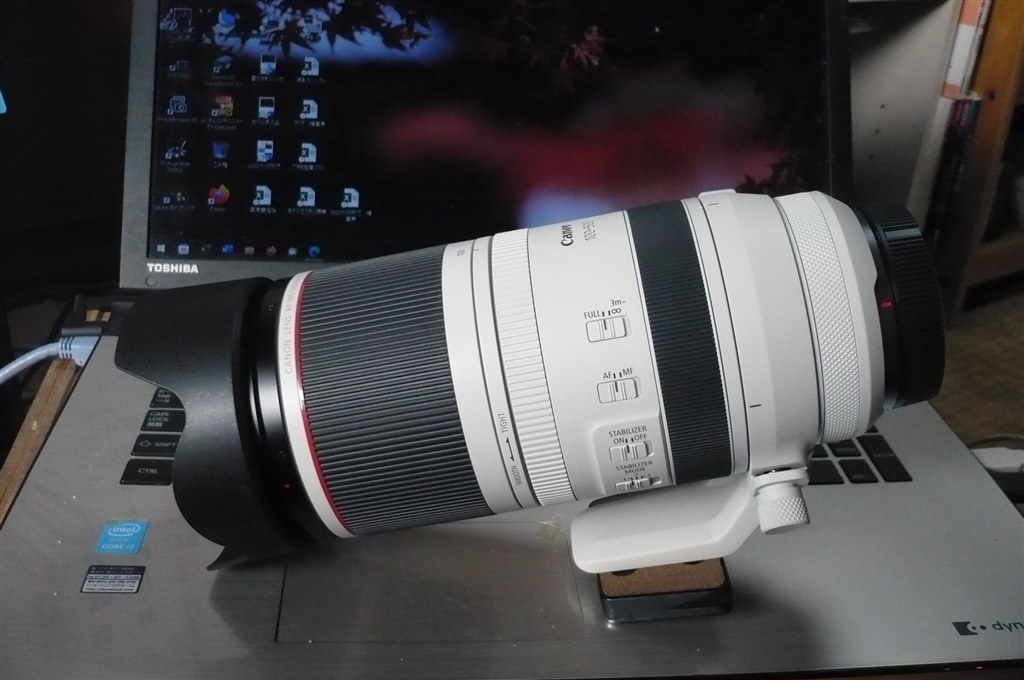 フードEW-83Nをワンオフ白フードに』 CANON RF100-500mm F4.5-7.1 L IS USM のクチコミ掲示板 - 価格.com