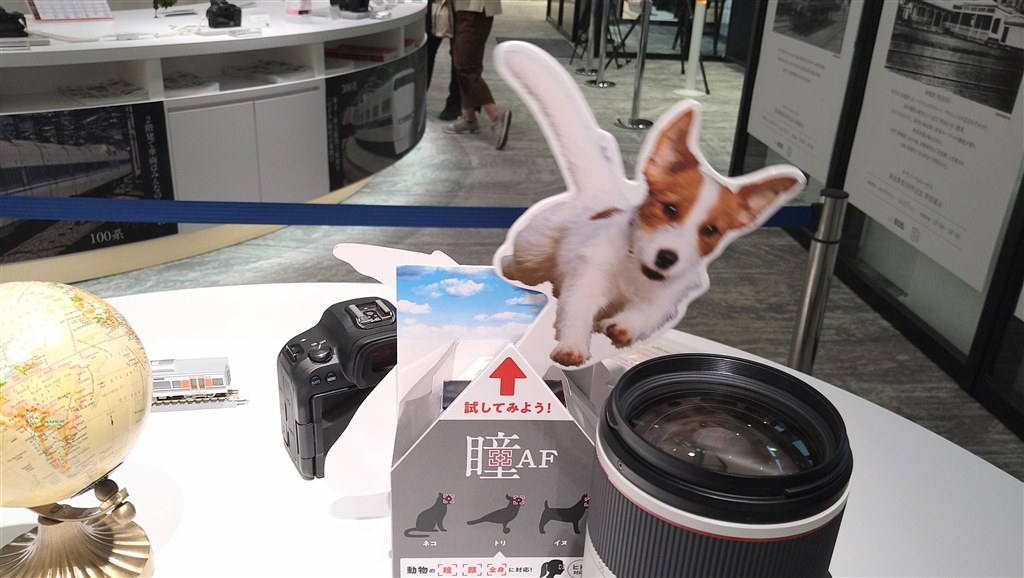 実物を触りました。』 CANON EOS R6 Mark II ボディ のクチコミ 実物を触りました。』 CANON EOS R6 Mark II ボディ のクチコミ