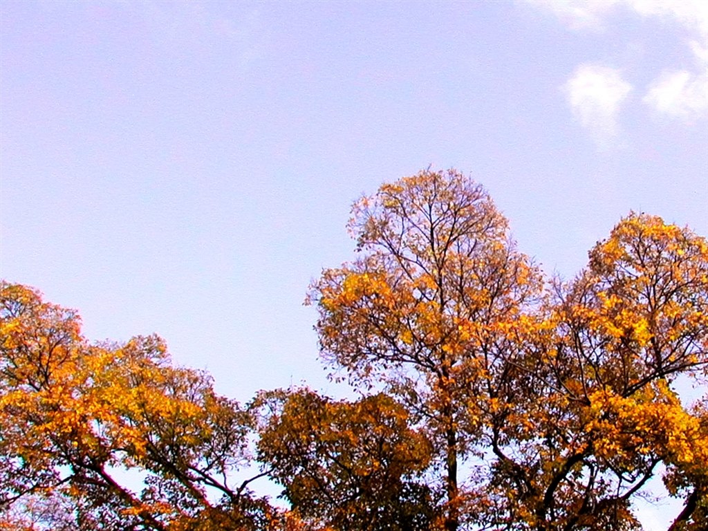 500』 ニコン COOLPIX 885 のクチコミ掲示板 - 価格.com