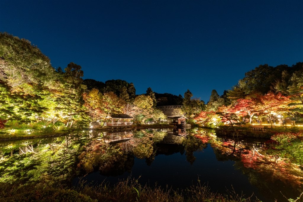 普段使いとしてはいかがでしょうか』 SONY E 11 mm F1.8 SEL11F18 の