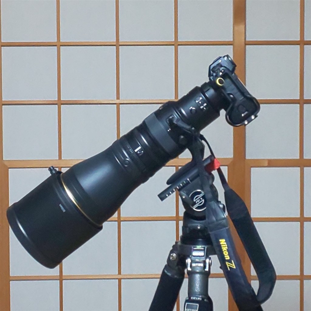 購入しました。』 ニコン NIKKOR Z 600mm f/4 TC VR S の 購入しました。』 ニコン NIKKOR Z 600mm f/4 TC VR S の