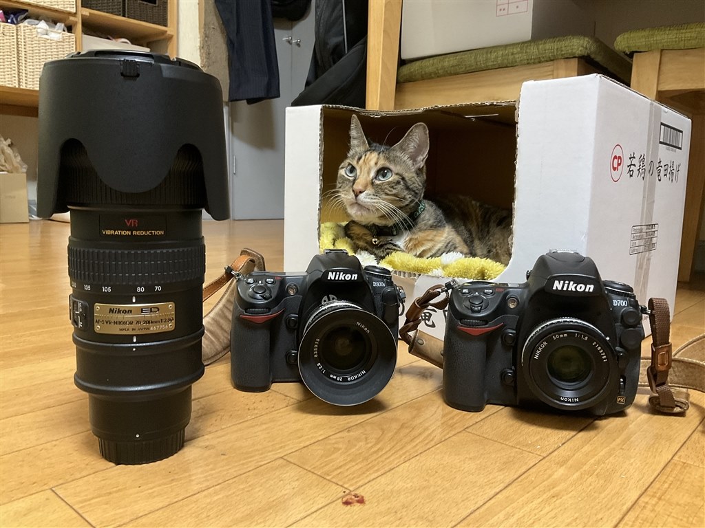 ニコン（Nikon） AF-S VR Zoom Nikkor ED 70-200mm F2.8G (IF