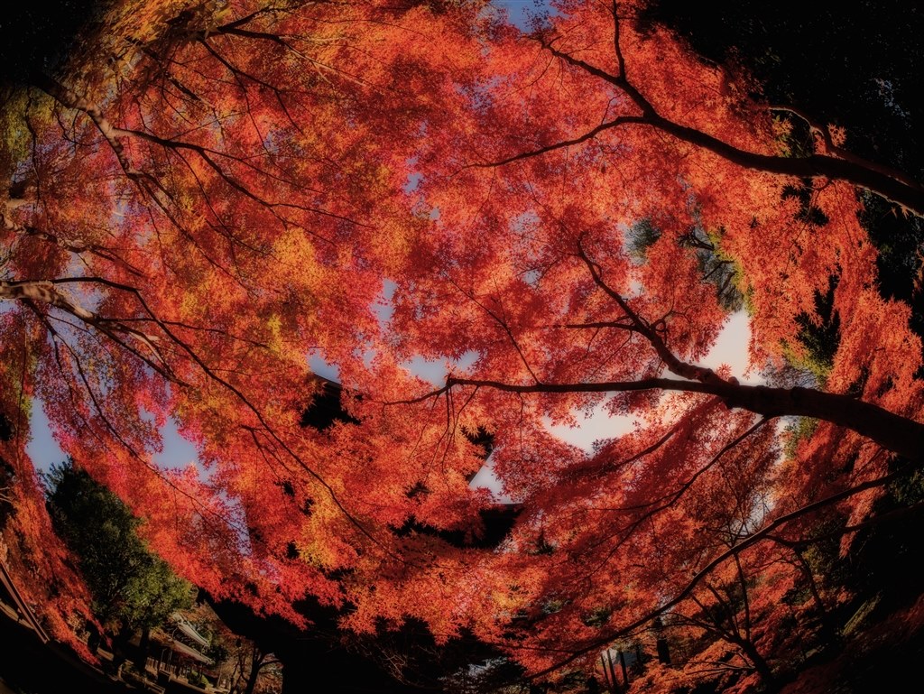α7と7 IIで迷っているのですが。』 SONY α7 II ILCE-7M2 ボディ α7と7 IIで迷っているのですが。』 SONY α7 II ILCE-7M2 ボディ