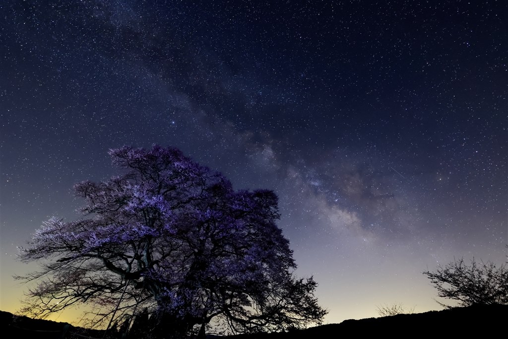 夜景・星景を撮るならどちら？EOS R6 or α7SⅢ』 CANON EOS R6 ボディ