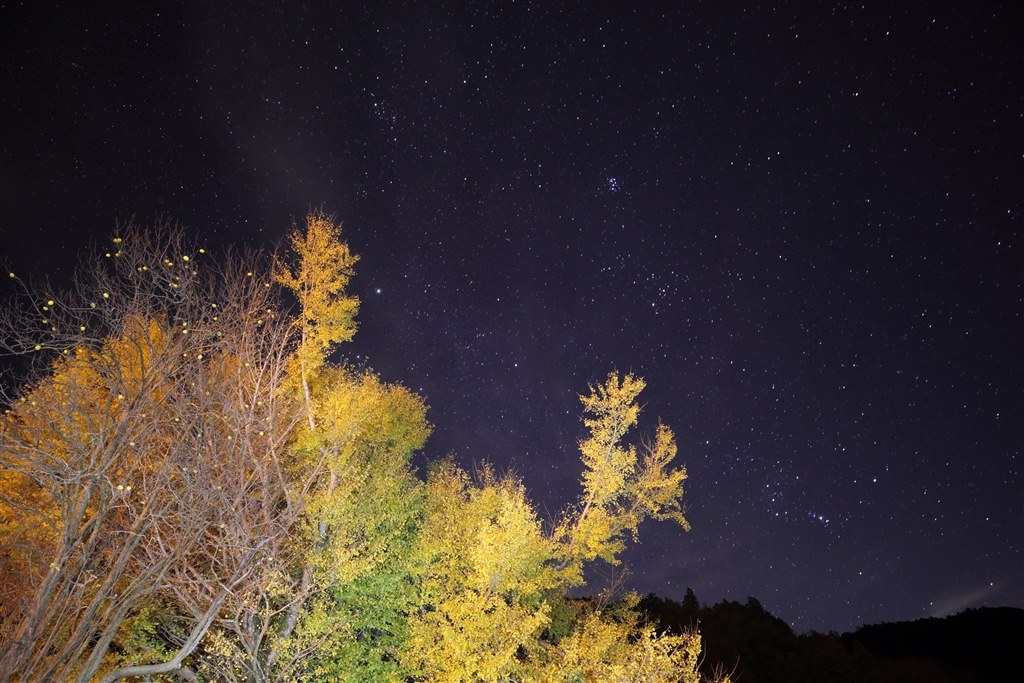 夜景・星景を撮るならどちら？EOS R6 or α7SⅢ』 CANON EOS R6 ボディ