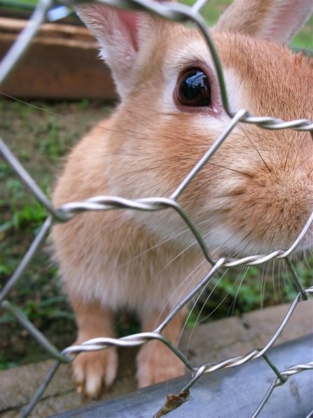 リコー GR DIGITAL IIで撮影された写真 - 価格.com