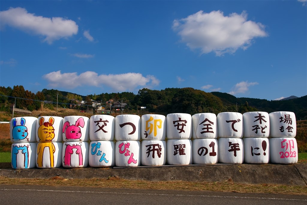 久しぶりに撮影しました』 シグマ 17-50mm F2.8 EX DC OS HSM [ニコン