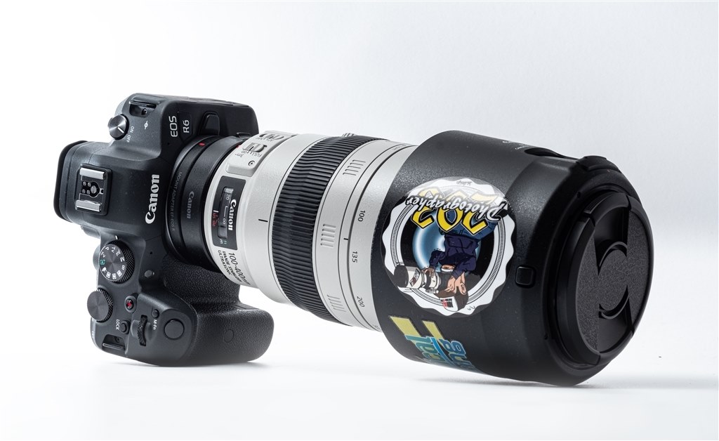Canon EF 100 400 mm F4.5-5.6L IS レンズ