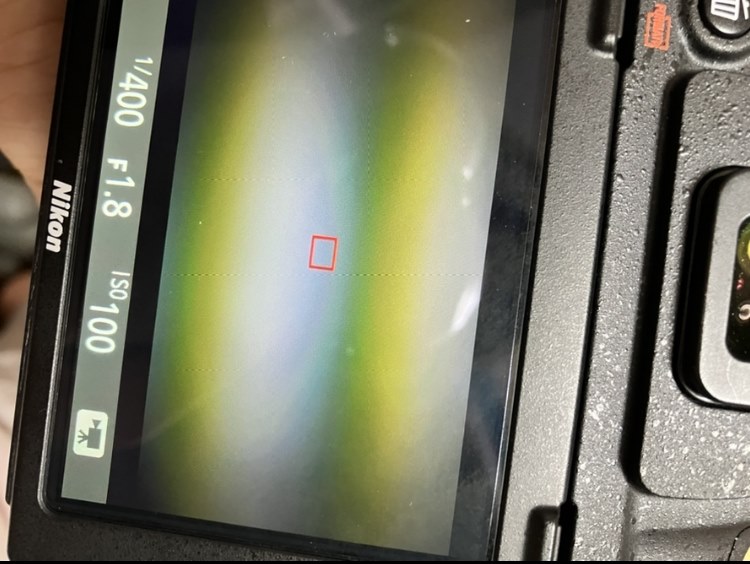 動画撮影のときだけ画面がきちんとうつらない』 ニコン D750 ボディ の