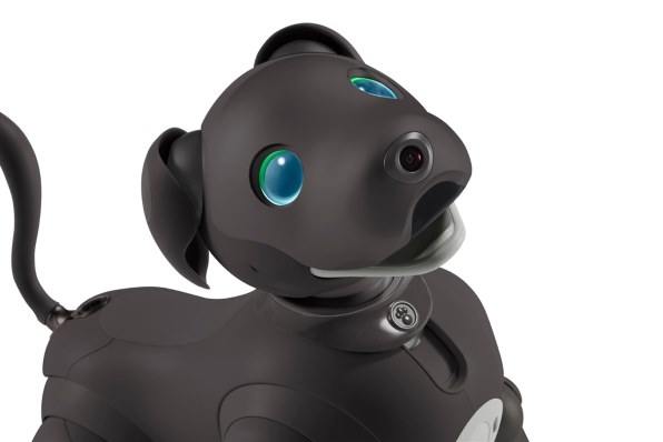 aibo ERS-1000 アイボ キャラメルエディション | nate-hospital.com