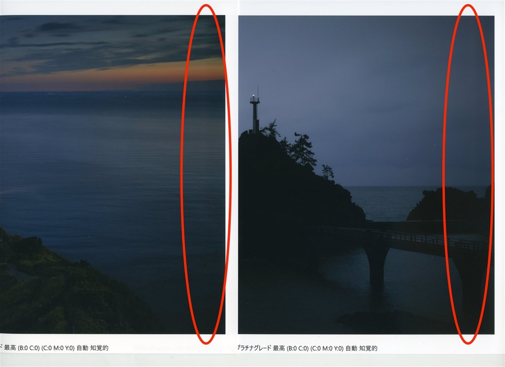 印刷ムラとローラーの跡について』 CANON imagePROGRAF PRO-G1 印刷ムラとローラーの跡について』 CANON imagePROGRAF PRO-G1