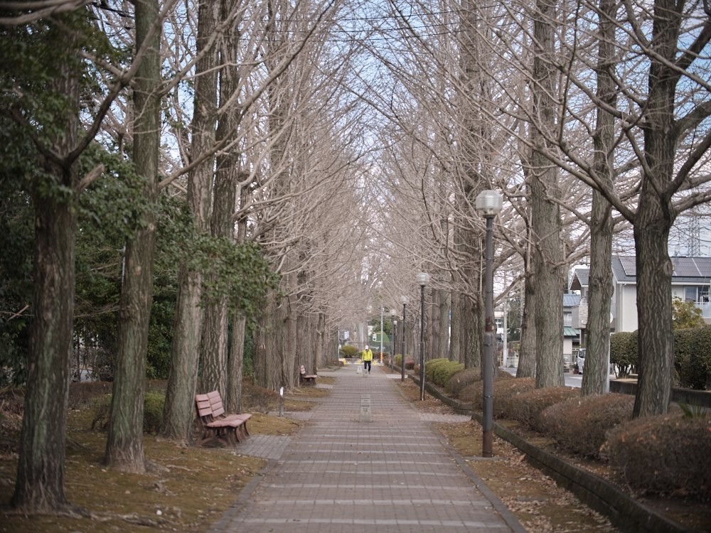 GFX（44x33）でほぼケラレないレンズでした』 CANON EF70-300mm F4-5.6