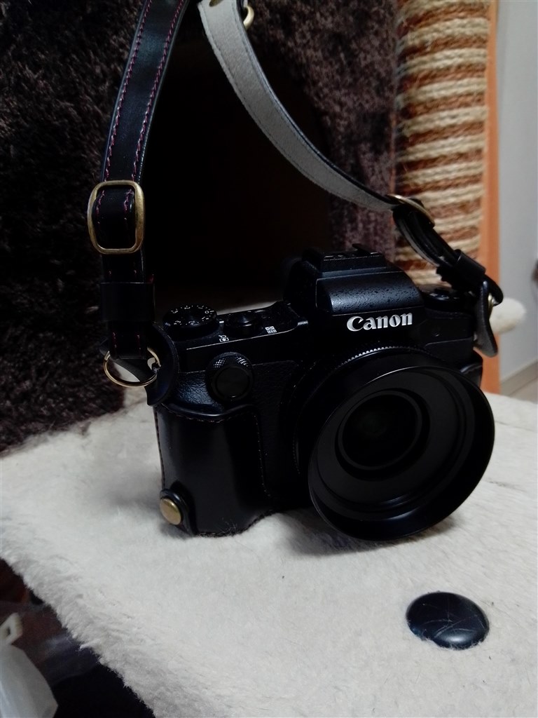 屋外用結束バンドいいかも』 CANON PowerShot G1 X Mark III の