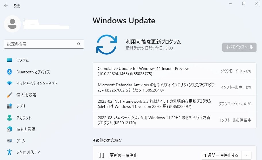 『Windows 11 Insider Preview 22624.1465(ni_rele) Beta Channel 