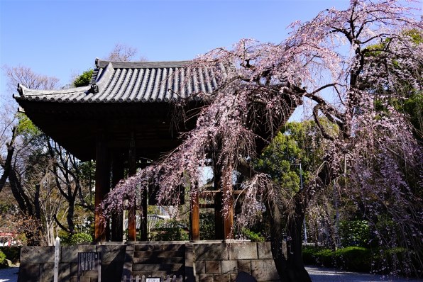 ニコン D40x ダブルズームキット投稿画像・動画 - 価格.com