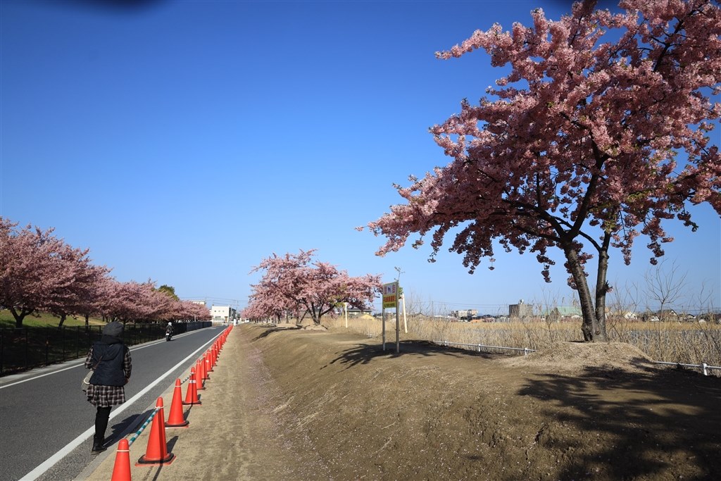 RF24-105mm F4-7.1 IS STM を使用してみて』 CANON EOS R ボディ