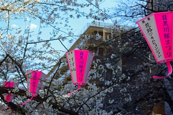 ニコン Nikon 1 V3 標準パワーズームレンズキット投稿画像・動画