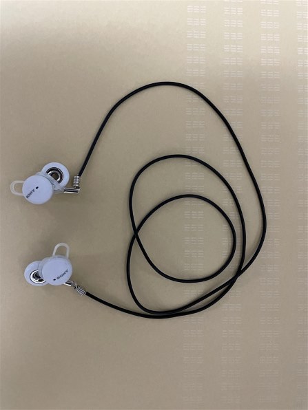 SONY LinkBuds WF-L900 (H) [グレー]投稿画像・動画 - 価格.com