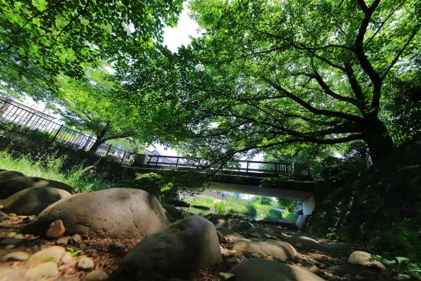 Canon EOS 6D MARK2 ボディ ※作例あり EOS 6D Mark II レビューと作例写真と