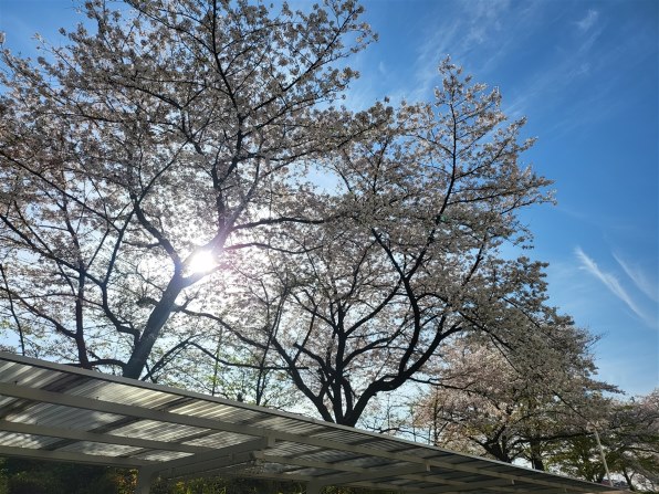 シグマ 10-20mm F3.5 EX DC HSM (ニコン用)投稿画像・動画 シグマ 10-20mm F3.5 EX DC HSM (ニコン用)投稿画像・動画