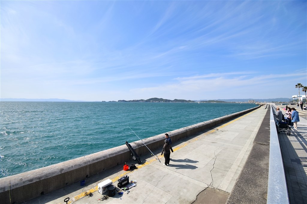 ニコンとシグマで迷っています。』 シグマ 10-20mm F3.5 EX DC HSM