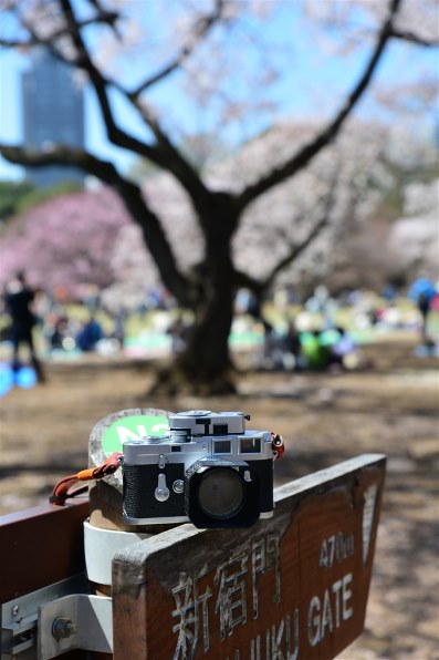 愛機で愛機を撮ってます♪』 クチコミ掲示板 - 価格.com