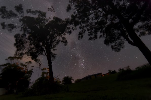 ニコン AF-S DX Zoom-Nikkor 12-24mm f/4G IF-EDで撮影された