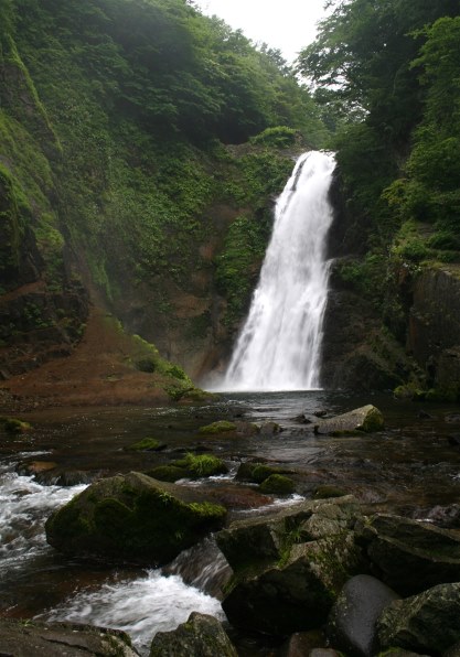 CANON EOS Kiss デジタルN ボディで撮影された写真 - 価格.com