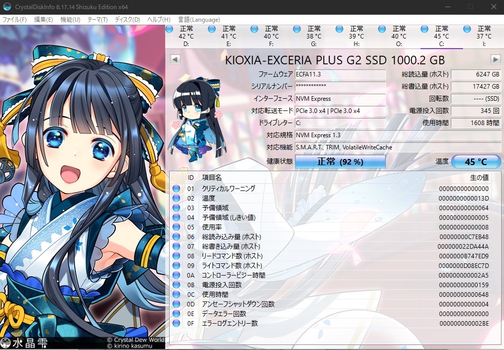 耐久性が・・・』 キオクシア EXCERIA PLUS G2 SSD-CK1.0N3PG2/J