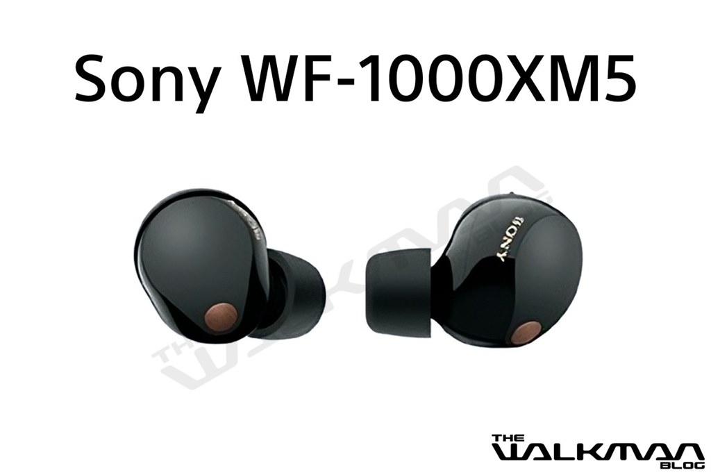 SONY WF-1000XM5 (ブラック美品)