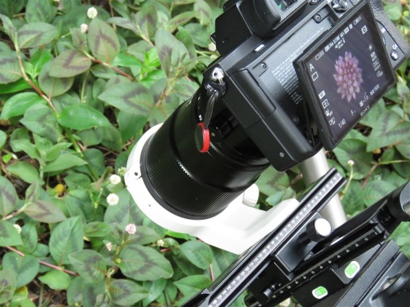 TTArtisan T&S 100mm f/2.8 MACRO 2X ソニーE 銘匠光学 TTArtisan T&S 100mm f/2.8 MACRO 2X [ソニーE用] 価格