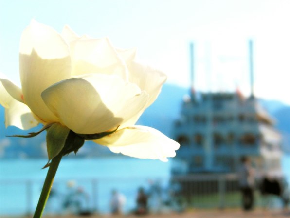 CANON PowerShot G2で撮影された写真 - 価格.com