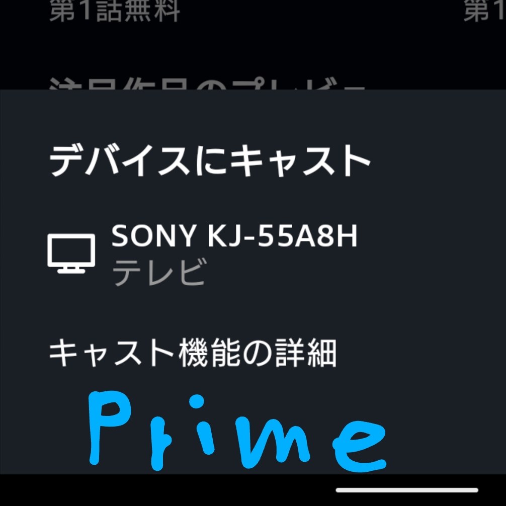 プライムビデオのキャストできない』 東芝 REGZA 32V34 [32インチ] の