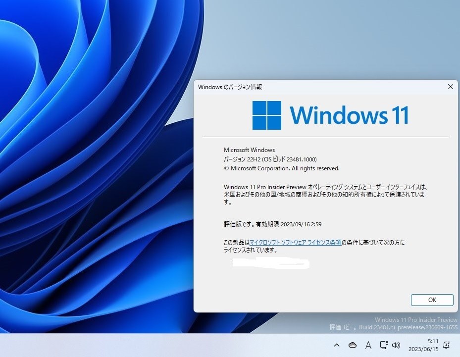 Windows 11 Insider Preview Build 23481 （Dev Channel）』 クチコミ 