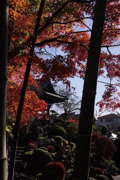 シグマ 30mm F2.8 EX DN [ソニー用]で撮影された写真 - 価格.com