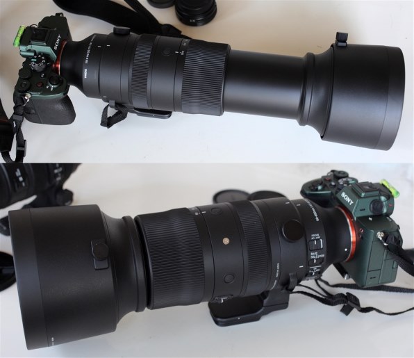 シグマ 60-600mm F4.5-6.3 DG DN OS [ソニーE用]投稿画像・動画