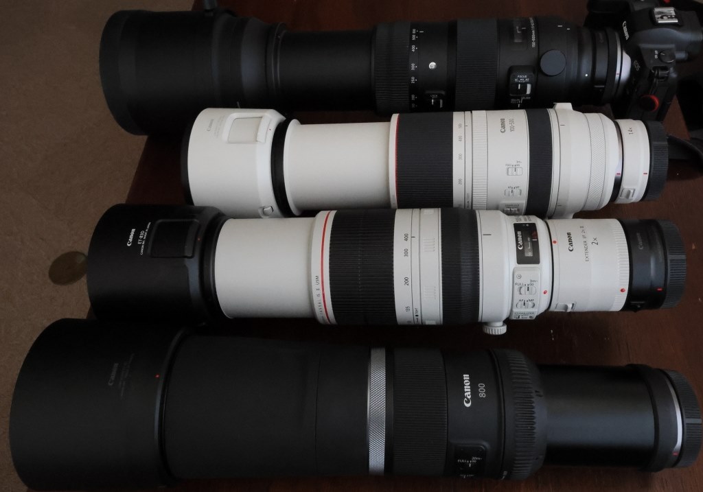 おまけ付き中古シグマ60-600mmF4.5-6.3DGDNOS Sports 新品)SIGMA (シグマ) Sports 60-600mm F4.5-6.3 DG DN OS