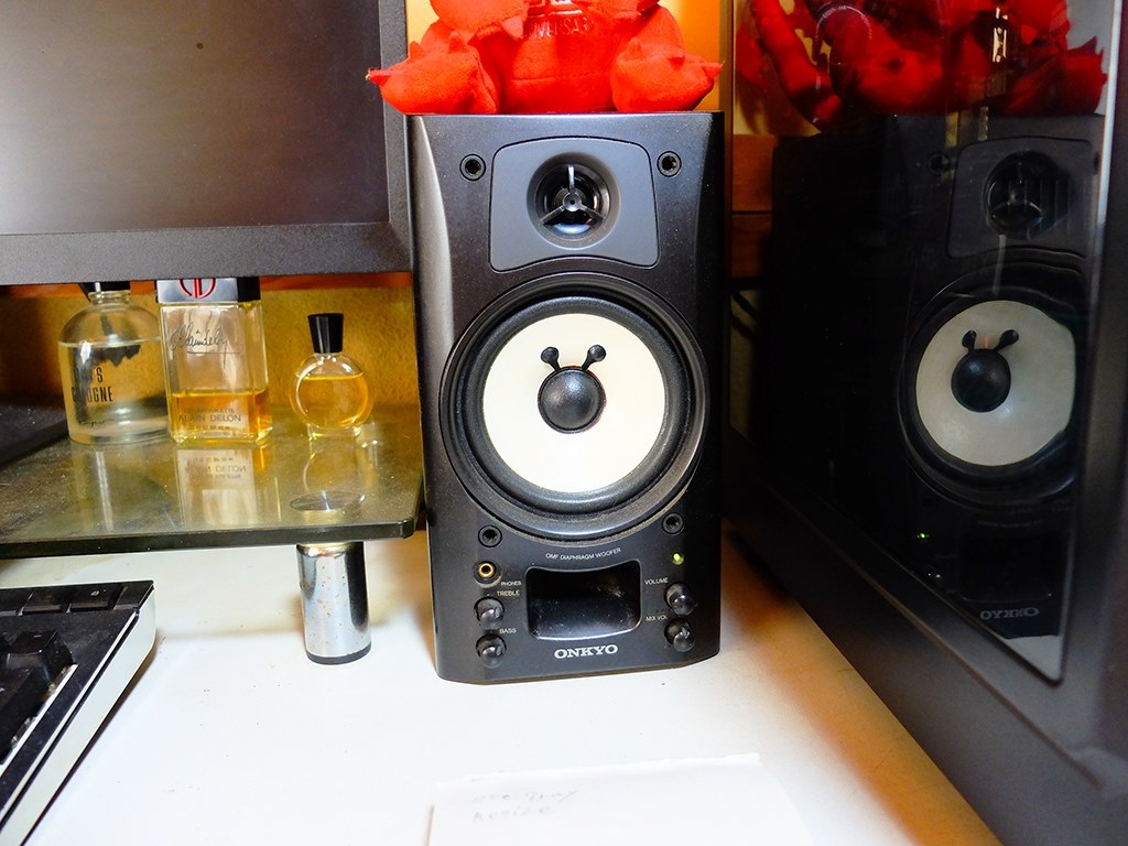 アウトレット扱いですが』 FYNE AUDIO F300 [ウォールナット アウトレット扱いですが』 FYNE AUDIO F300 [ウォールナット