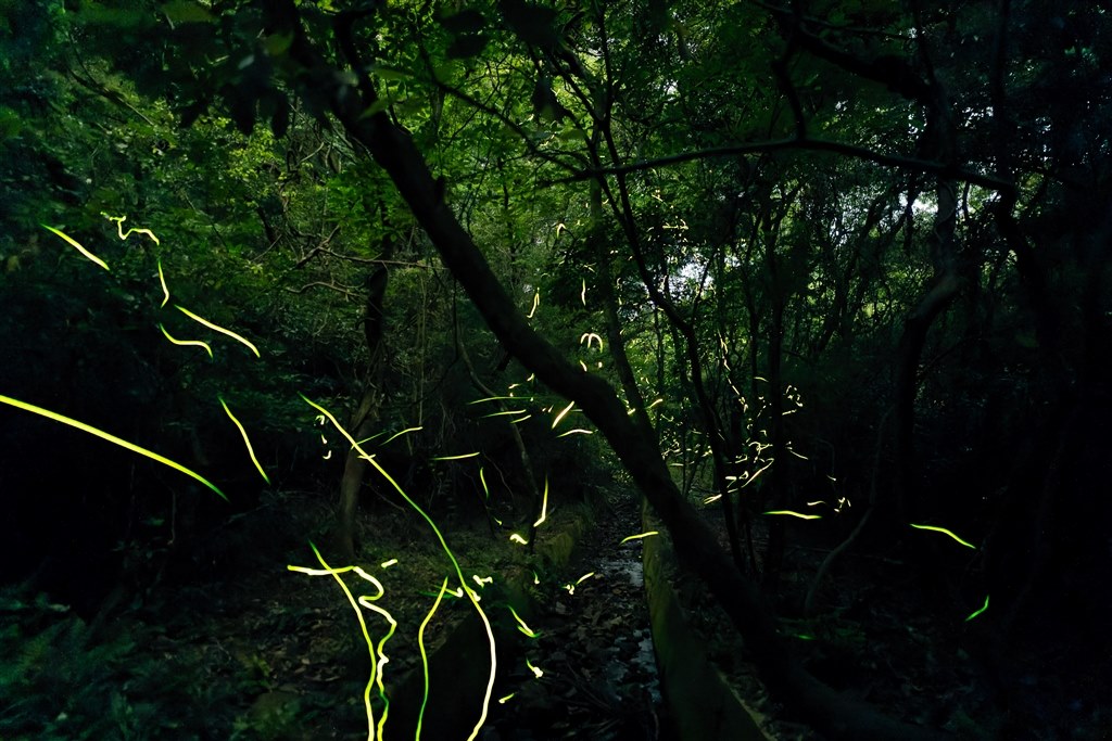 Sigma 20mm F1.4 DG DN Art 作例』 シグマ 20mm F1.4 DG DN [ライカL用
