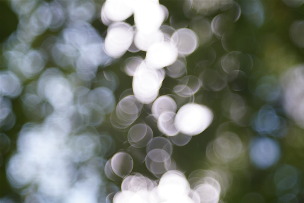 バブルボケ撮れました』 銘匠光学 TTArtisan 100mm f/2.8 M42 の バブルボケ撮れました』 銘匠光学 TTArtisan 100mm f/2.8 M42 の