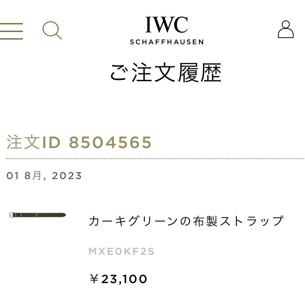 Easx-changeバネ棒について』 IWC パイロット・ウォッチ・マーク XX