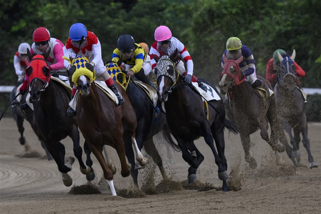 競馬もよさそう』 ニコン NIKKOR Z 180-600mm f/5.6-6.3 VR のクチコミ