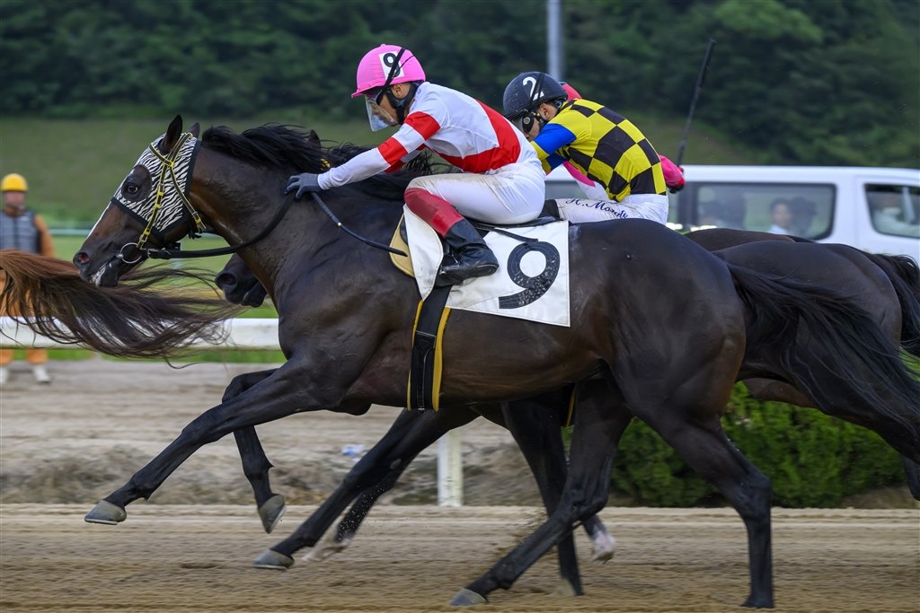 競馬 競馬もよさそう』 ニコン NIKKOR Z 180-600mm f/5.6-6.3 VR のクチコミ