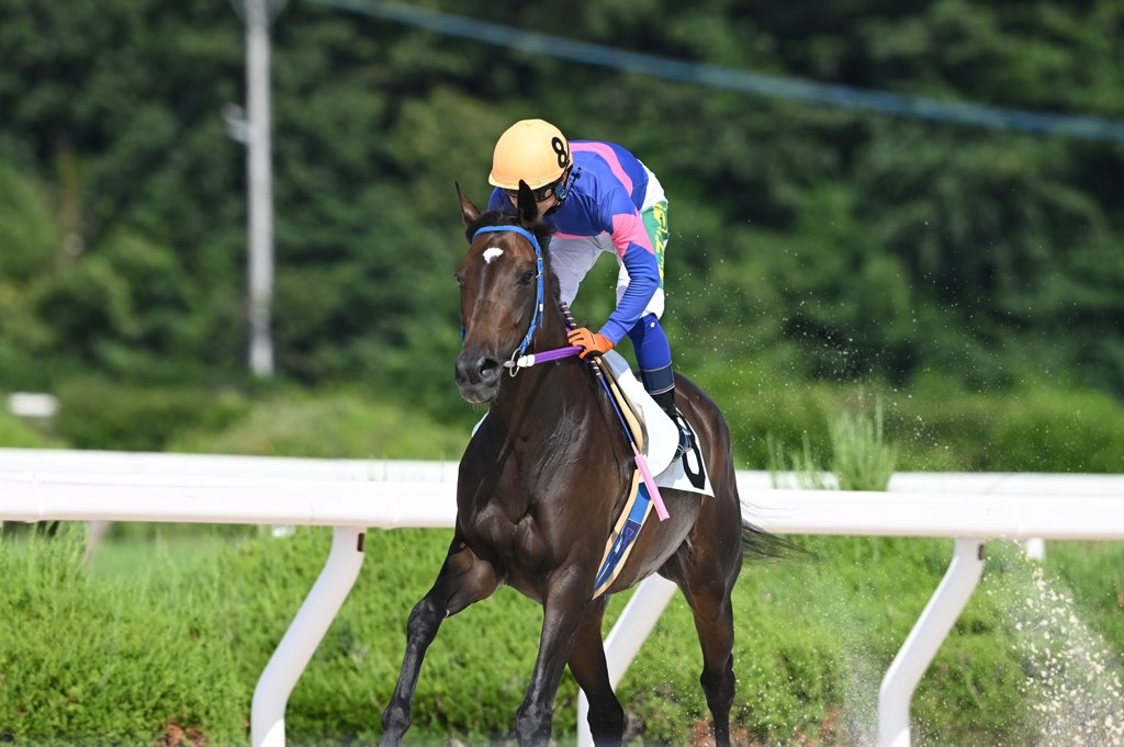 競馬もよさそう』 ニコン NIKKOR Z 180-600mm f/5.6-6.3 VR のクチコミ