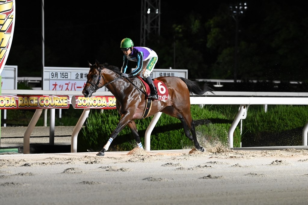 競馬もよさそう』 ニコン NIKKOR Z 180-600mm f/5.6-6.3 VR のクチコミ