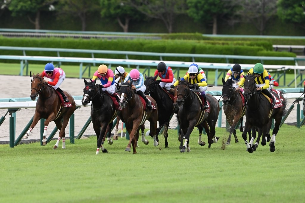 競馬もよさそう』 ニコン NIKKOR Z 180-600mm f/5.6-6.3 VR のクチコミ